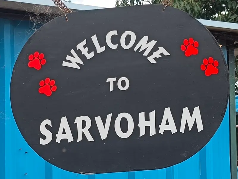 Sarvoham Animal Foundation, photo 5
