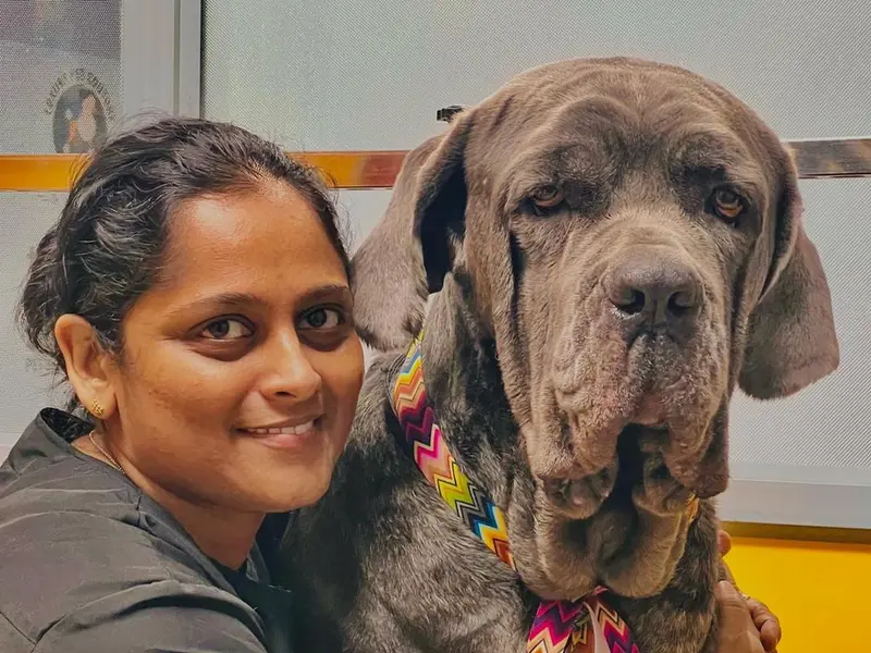 Yeffna Poonacha's The Dog Studio- Pet Grooming Academy India, Karnataka, Bengaluru, photo 3