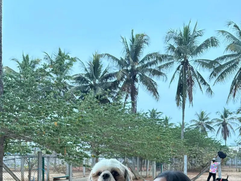 Wag-ville Pet Resort,Boarding, Pet Friendly Cafe, photo 5