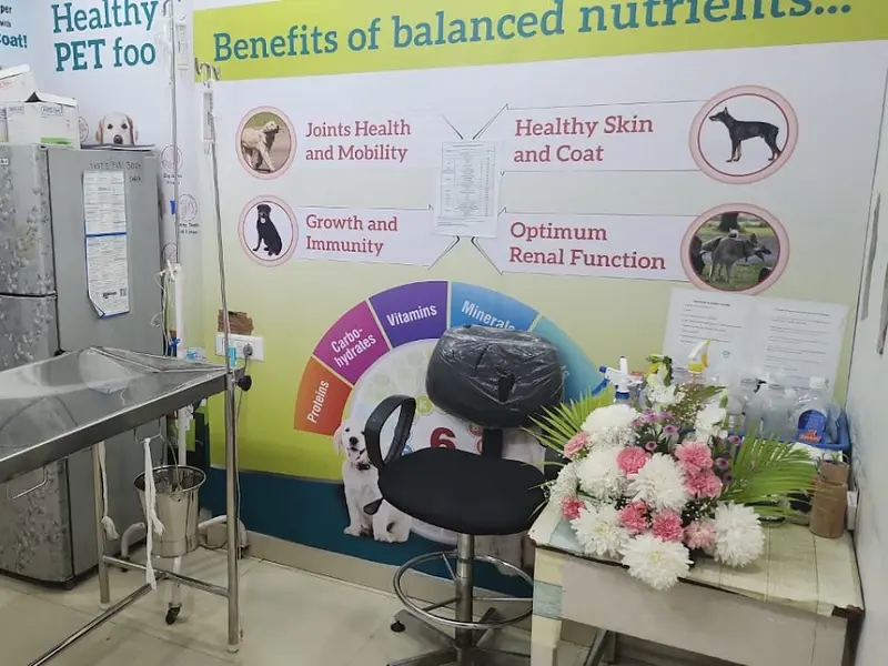Pawrentz Vet Care, photo 2