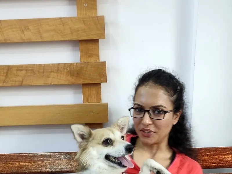 Augie - Pet Store | Pet Grooming And Spa In Jayanagar, photo 3