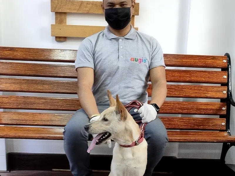 Augie - Pet Store | Pet Grooming And Spa In Jayanagar, photo 5