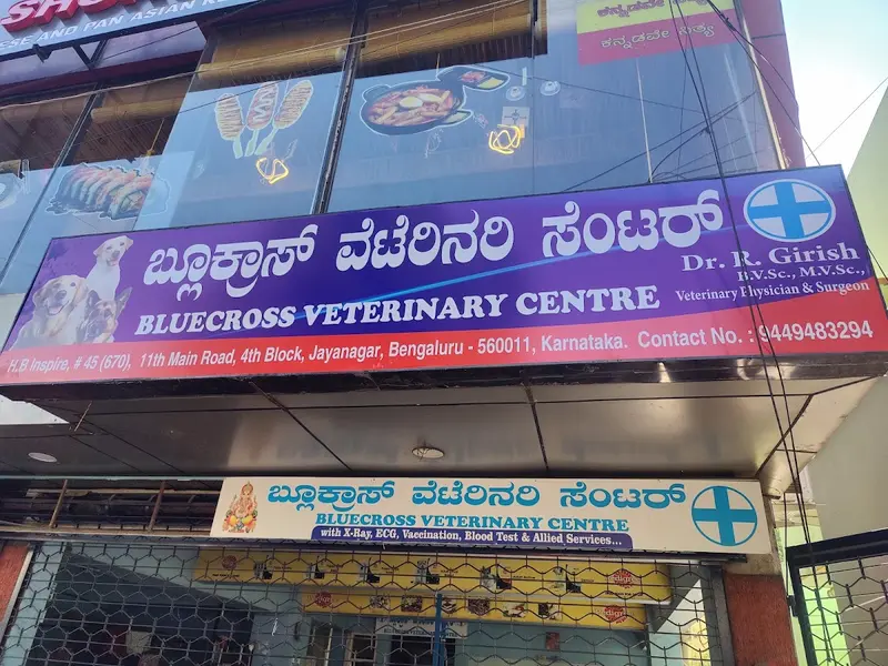 Bluecross Veterinary Centre, photo 2