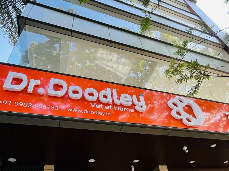 Dr. Doodley Pet Hospital Jayanagar - 24x7, photo 5
