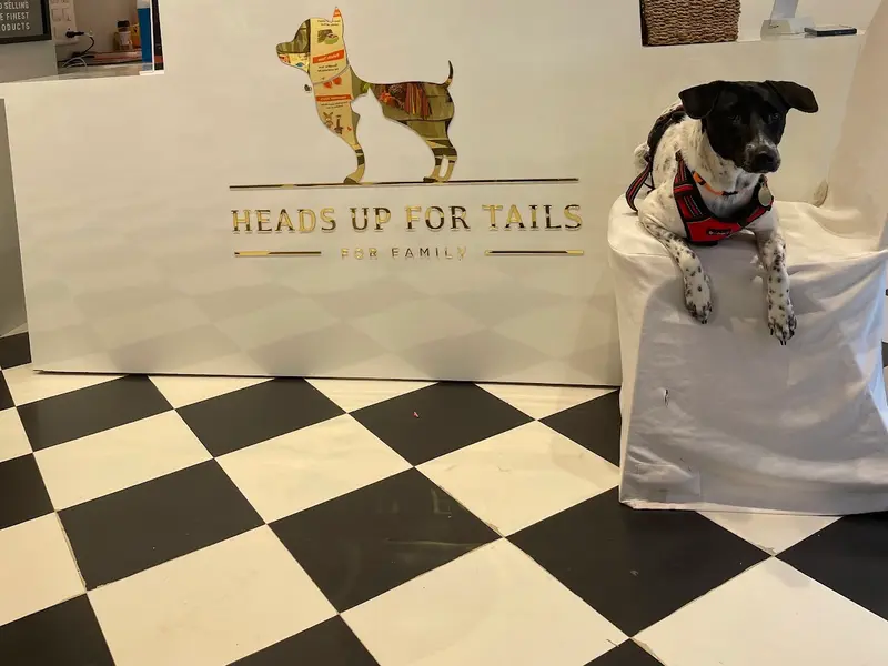 Heads Up For Tails Pet Store & Spa - Jayanagar, Bengaluru, photo 3