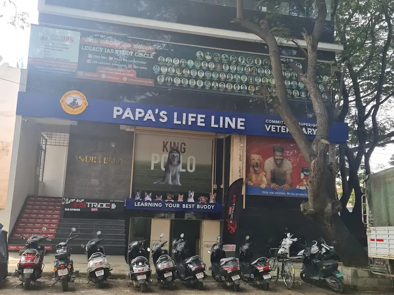 Papas Lifeline Pet Clinic & Veterinary Hospital – 24x7 Care Jayanagar, photo 2