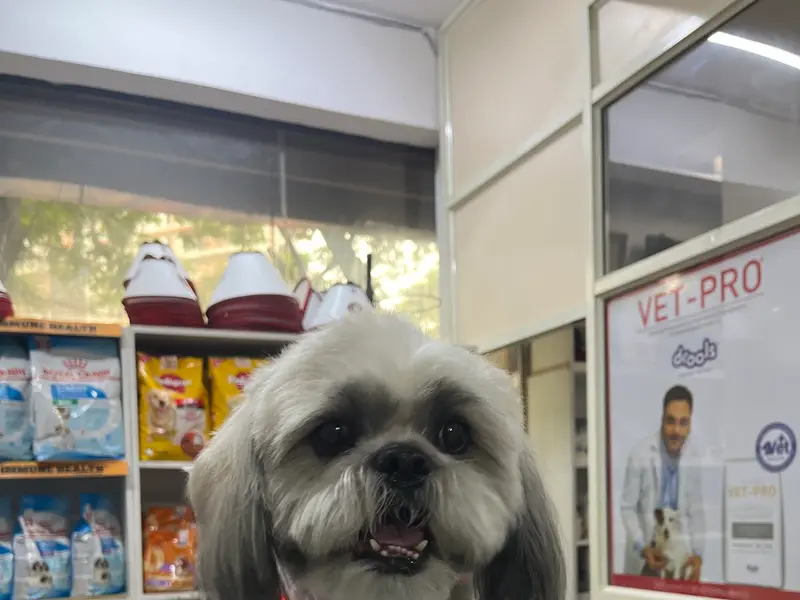 Papas Lifeline Pet Clinic & Veterinary Hospital – 24x7 Care Jayanagar, photo 3