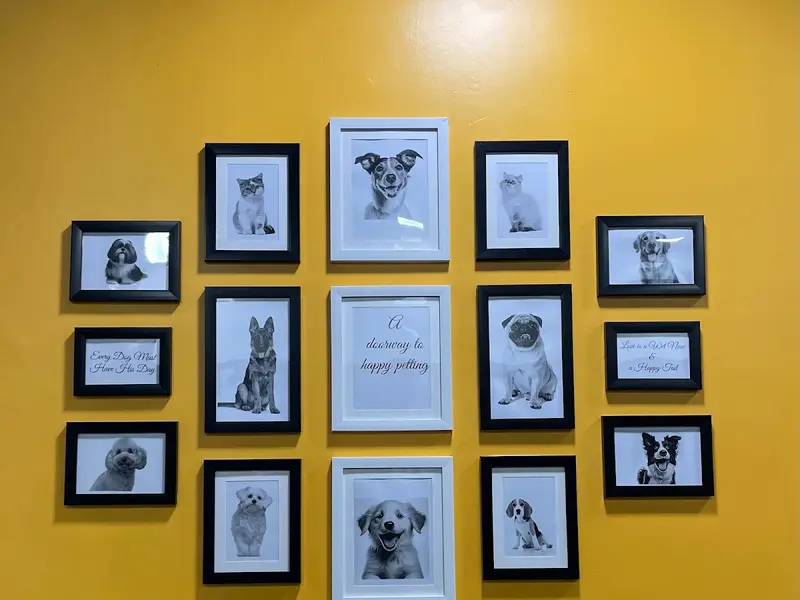 Pet Essentials - The Pet Store, Pet Clinic and Pet Spa - Jayanagar, Bangalore, photo 4