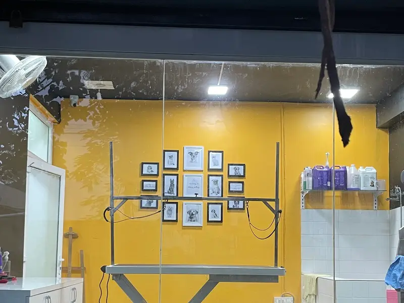 Pet Essentials - The Pet Store, Pet Clinic and Pet Spa - Jayanagar, Bangalore, photo 5