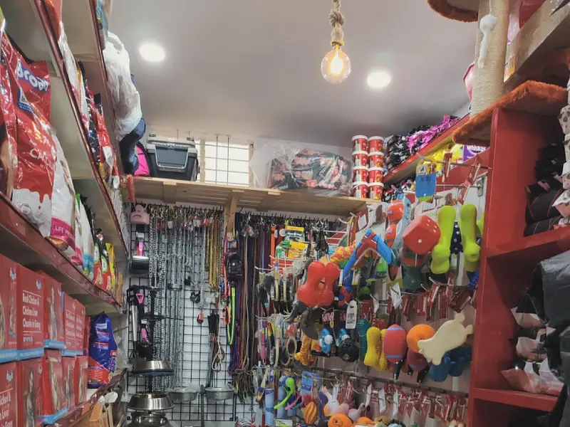 Sri Ganesh Pets Store, photo 5