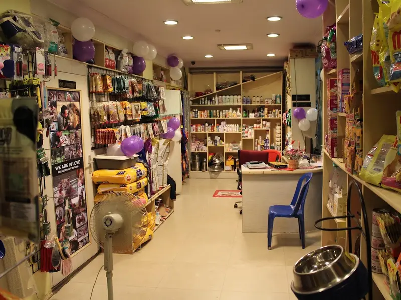 The Groomer, photo 3
