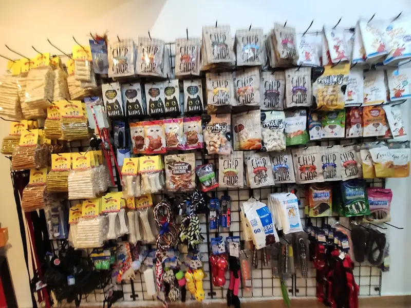 Bengaluru Pet Company - pet shop, photo 3