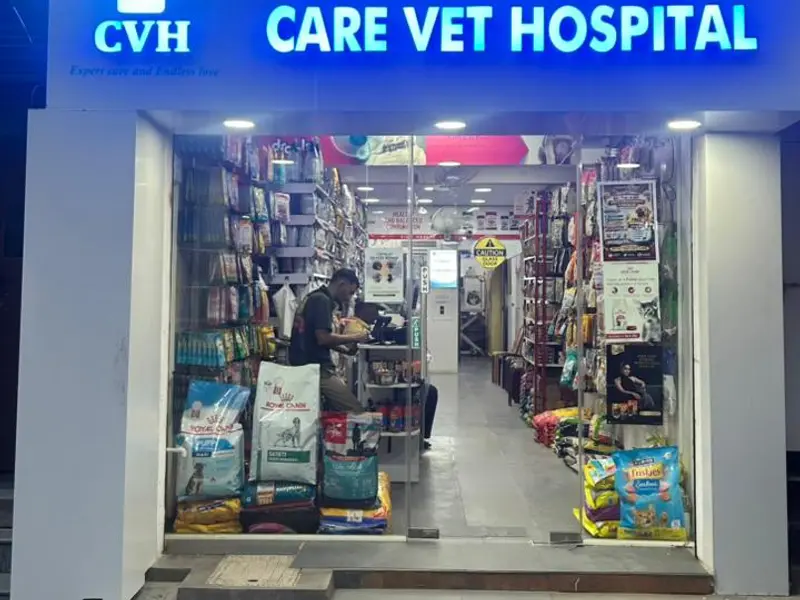care vet hospital