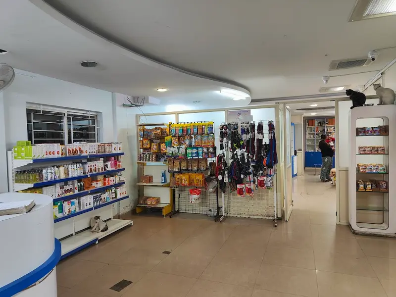 Cancure Pet Hospital Kacharakanahalli, photo 2