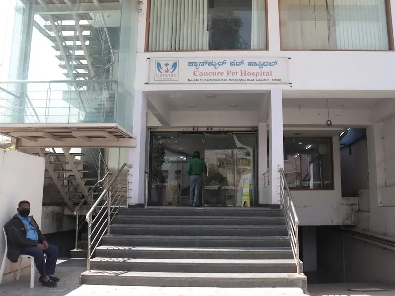 Cancure Pet Hospital Kacharakanahalli, photo 3