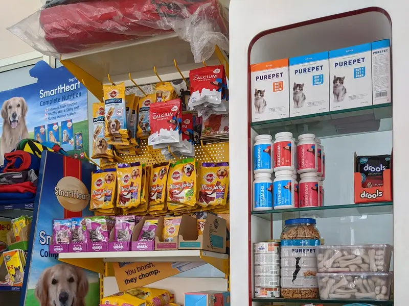 Cancure Pet Hospital Kacharakanahalli, photo 4