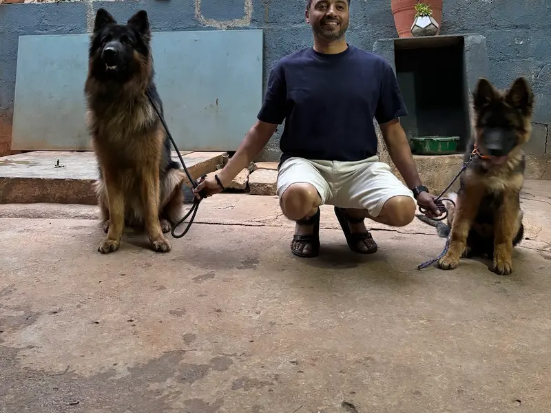 Roscoe Dog Training & Boarding Services, photo 3