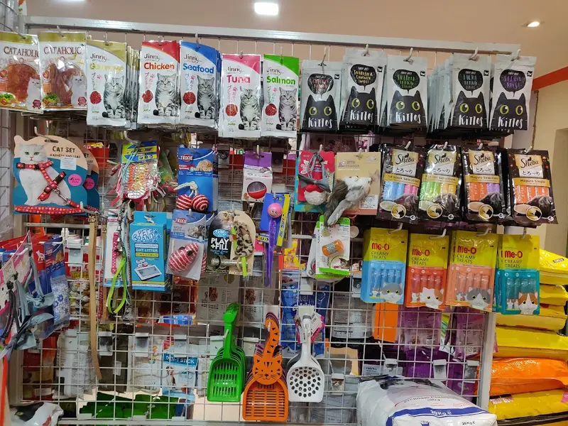 ASHA PET CLINIC, photo 3