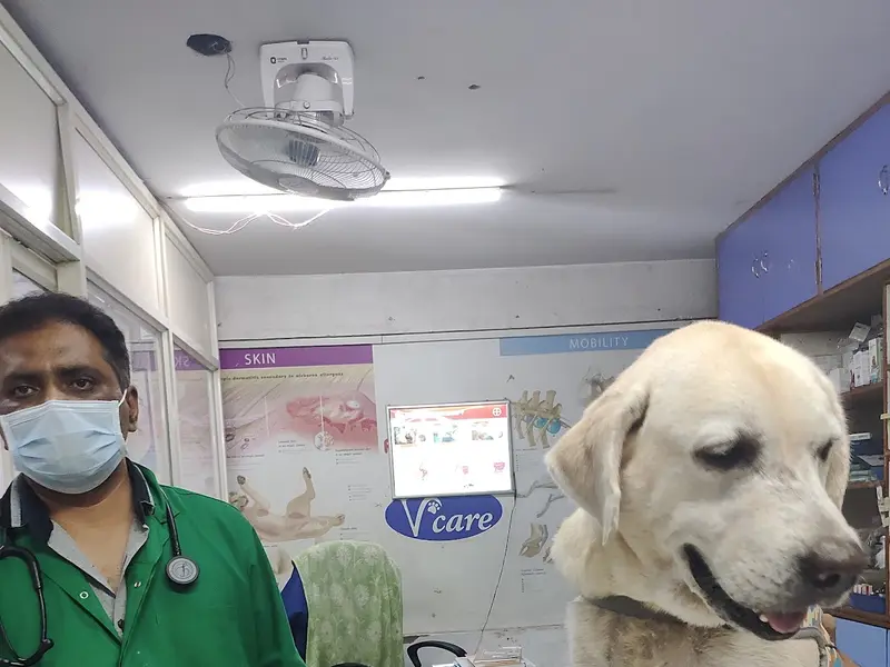 V-Care Pet Polyclinic, photo 4