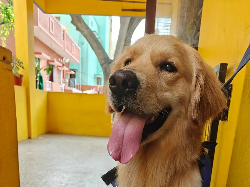 Pet Warehouse, photo 3