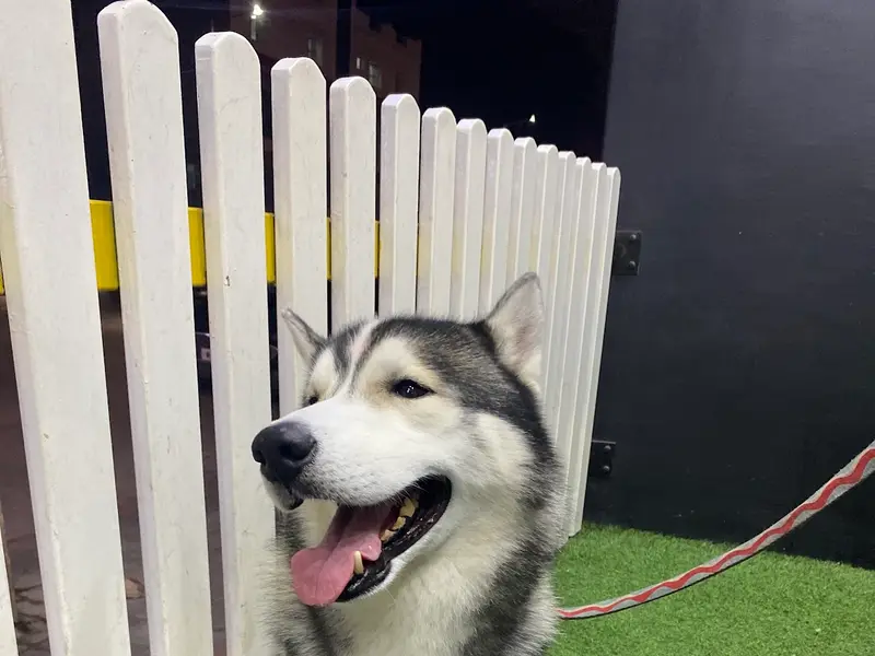 Pet Warehouse, photo 4