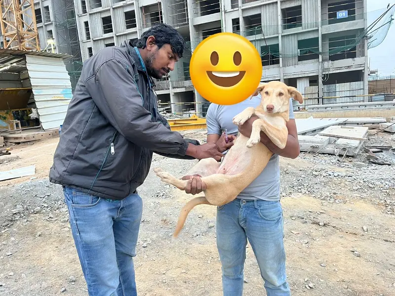 Vet home visit Bengaluru, photo 3