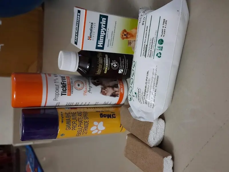 Vet home visit Bengaluru, photo 5