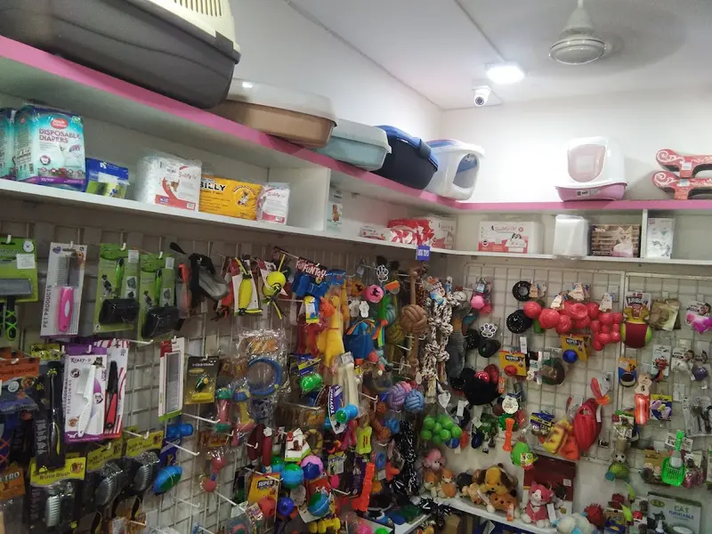 Pet Needs, photo 3