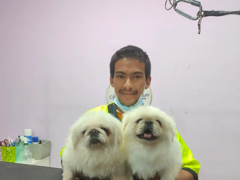 Fluff & Buff Pet Salon in Bengaluru | Dog and Cat Grooming Salon, photo 2