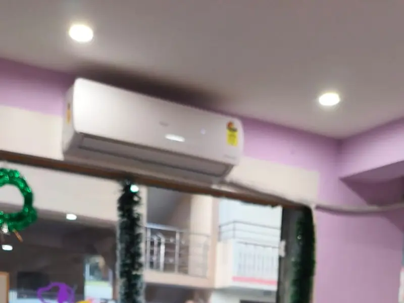 Fluff & Buff Pet Salon in Bengaluru | Dog and Cat Grooming Salon, photo 5
