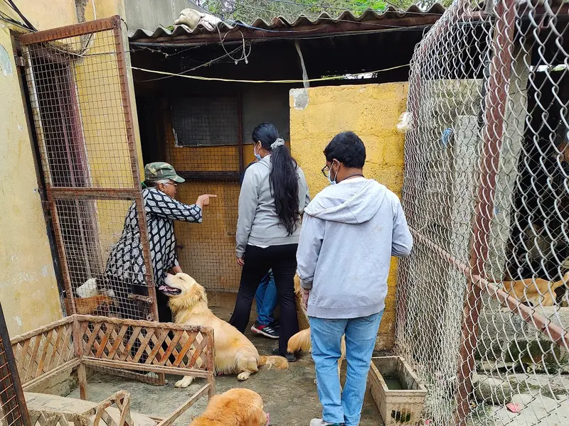 Dogs Our Best Friends (Maruthy Dog Shelter), photo 2