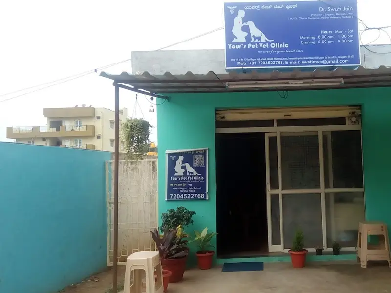 Your's Pet Vet Clinic, photo 3