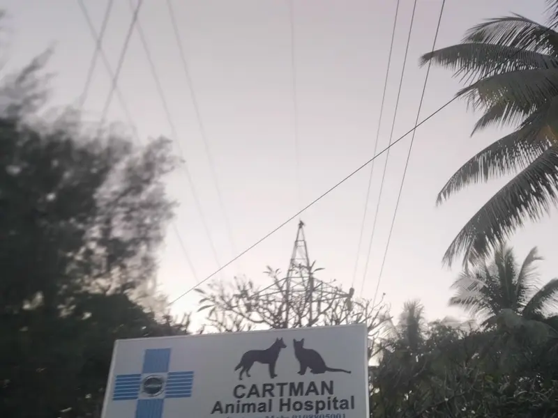 Cartman Animal Hospital, photo 4