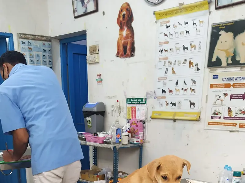 Cartman Animal Hospital, photo 5