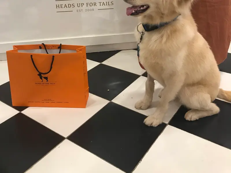 Heads Up For Tails Pet Store & Spa - Koramangala, Bengaluru, photo 4