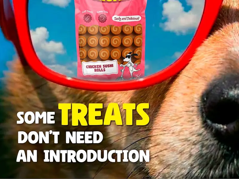 JUSTDOGS | Koramangala, Bengaluru - Pet Store & Spa, photo 3
