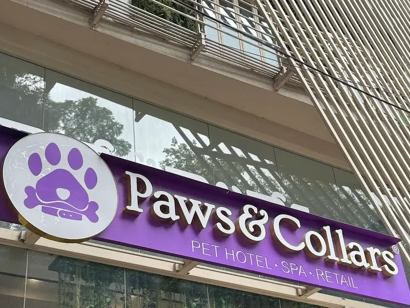 Paws & Collars - Pet Hotel, Spa, Retail - Koramangala, photo 4