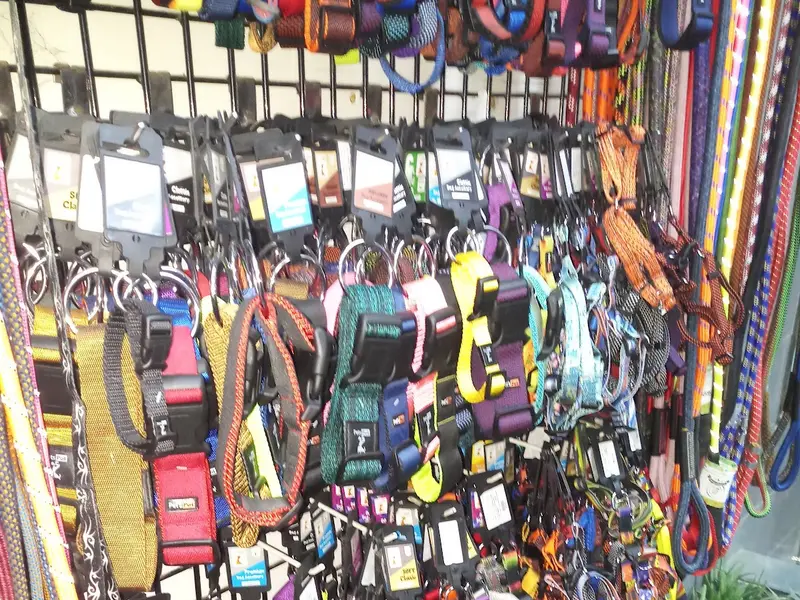 Pet Zone, photo 5