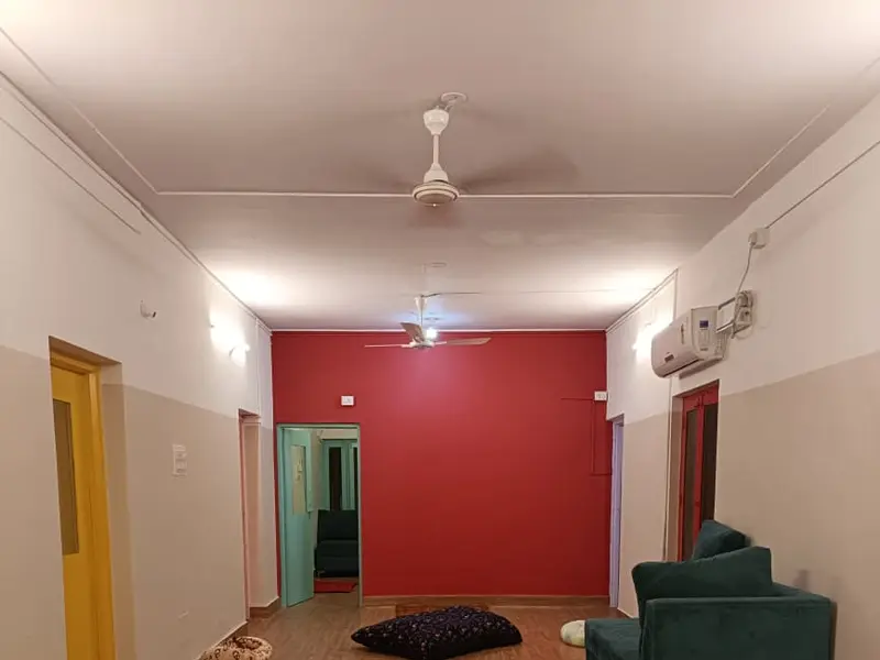 Poochkoo - Pet Care, Koramangala, photo 3