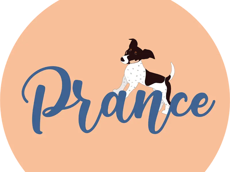 Prance - Dog Training, photo 2