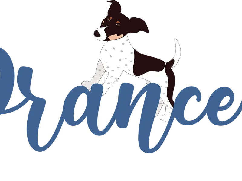 Prance - Dog Training, photo 3