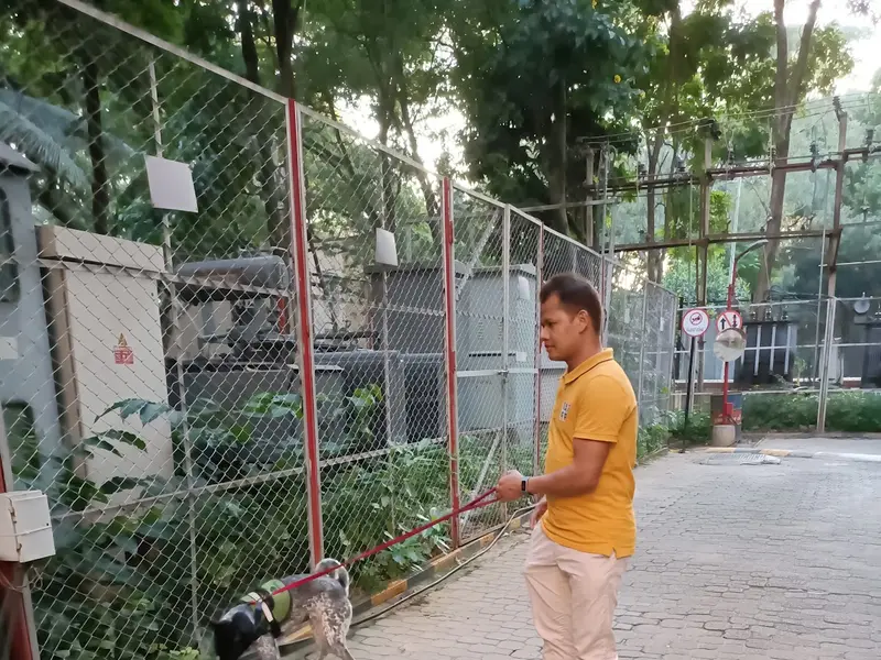 Rakesh's Professional Dog Walking and Dog Training Service, photo 5