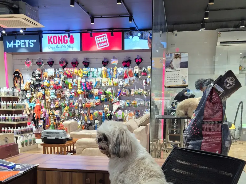 Roms N Raks Pet Hypermarket and Grooming Studio, photo 4