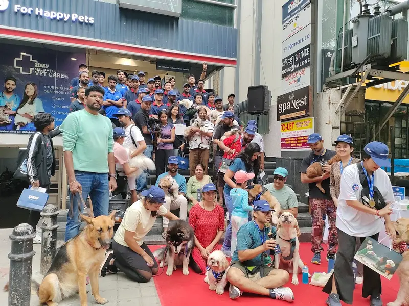 Zigly Pet Care - Vet Clinic, Pet Grooming & Pet Products | Koramangala, photo 4