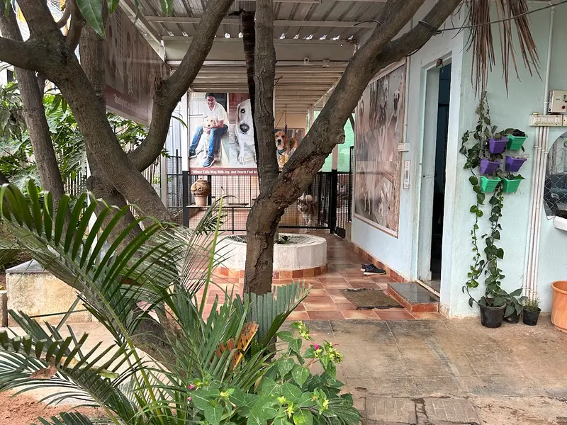 Spar Pet Home - Best dog boarding in KR Puram, Bangalore, photo 5