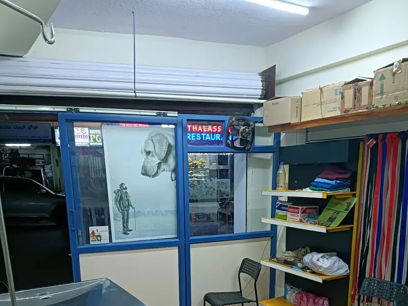 New Pets Vet Clinic, photo 2
