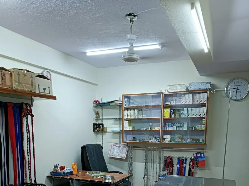 New Pets Vet Clinic, photo 3
