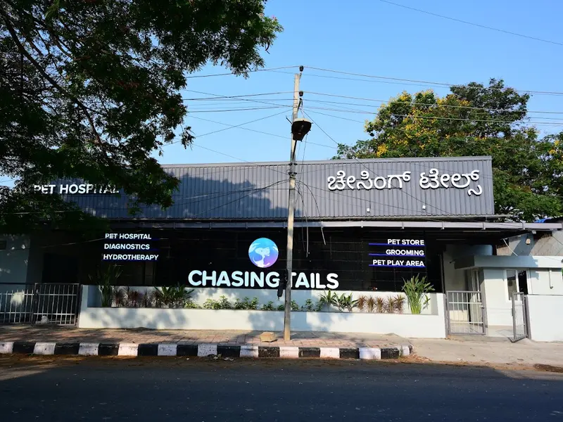 Chasing Tails Pet Hospital, photo 3