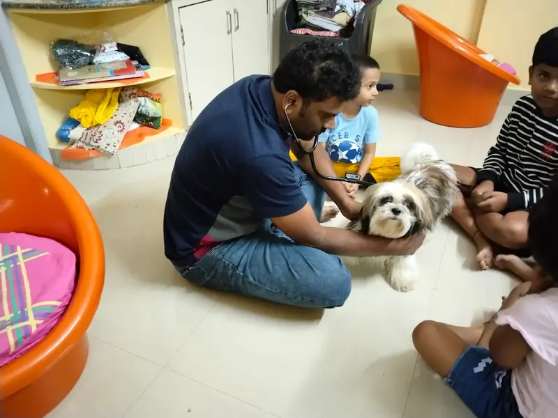 Vet home visit, photo 2