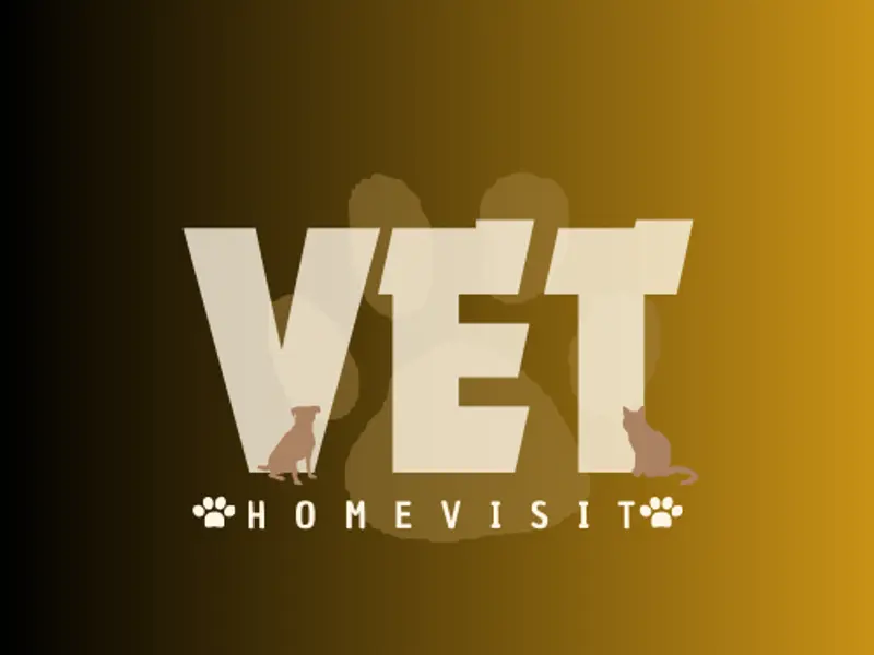 Vet home visit, photo 4